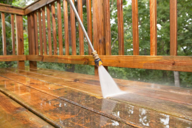 Best Pressure Washing Driveway  in Thorndale, PA