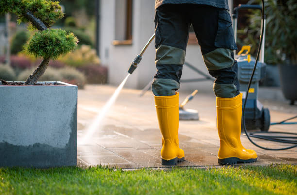 Best Pressure Washing Company Near Me  in Thorndale, PA